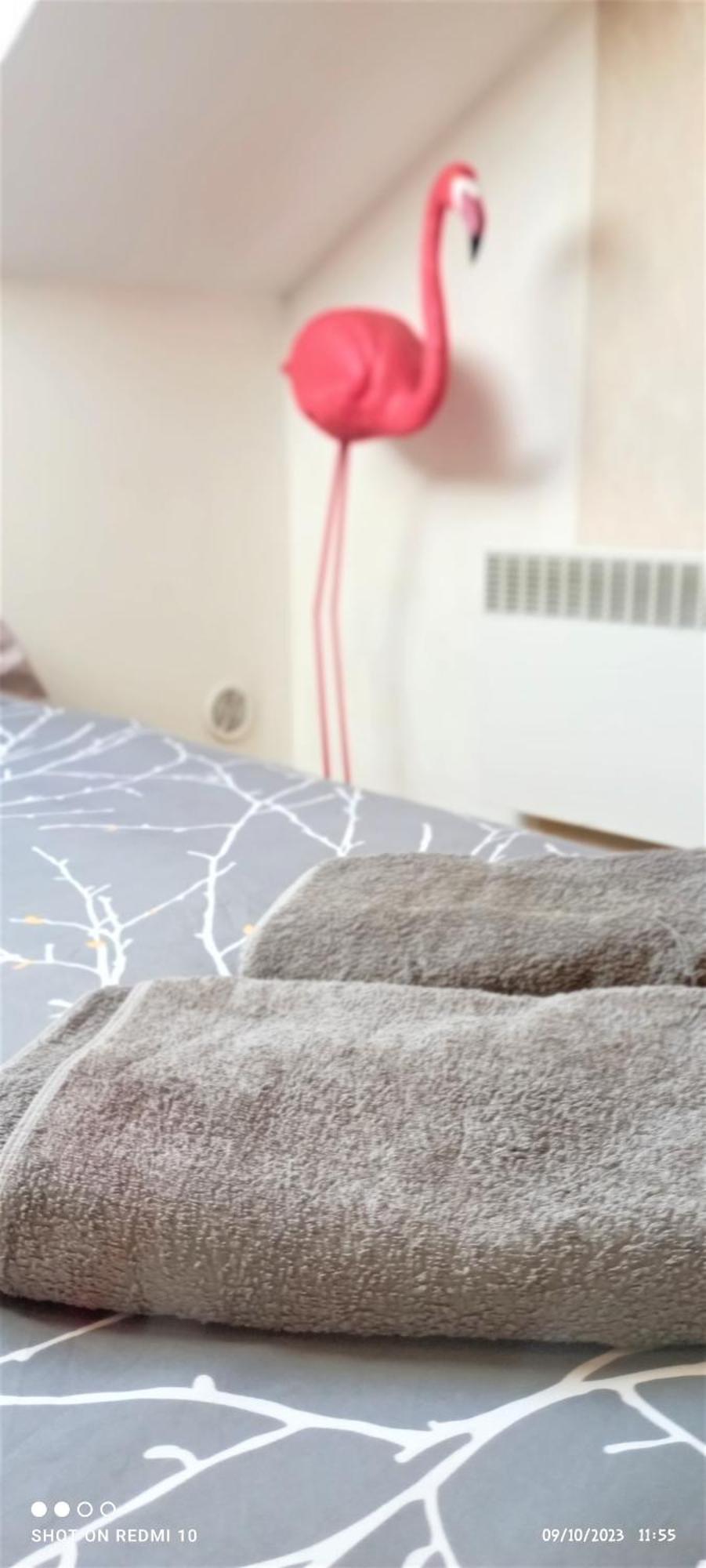 Studio Double 13 Avec Wifi Limoges Exteriör bild